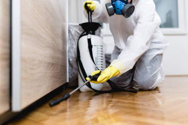 Best Rat Extermination Near Me  in Crandon, WI