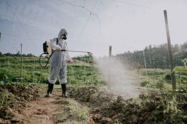 Best Affordable Pest Control Services  in Crandon, WI
