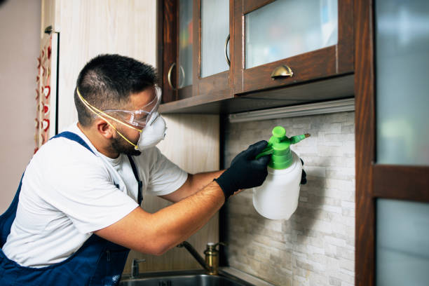 Best Pest Removal Services  in Crandon, WI