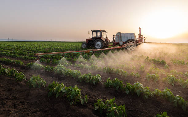 Best Best Pest Control Companies  in Crandon, WI