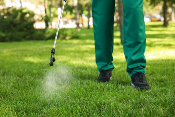 Best Pest Inspection Near Me  in Crandon, WI