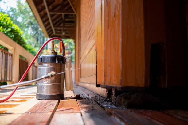 Best Ant Control Services  in Crandon, WI