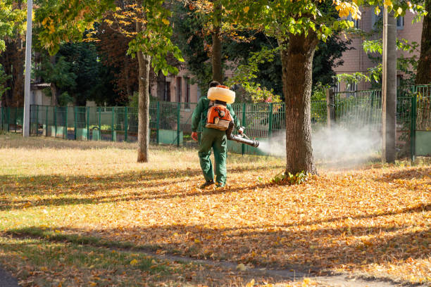 Best Local Pest Control Services  in Crandon, WI