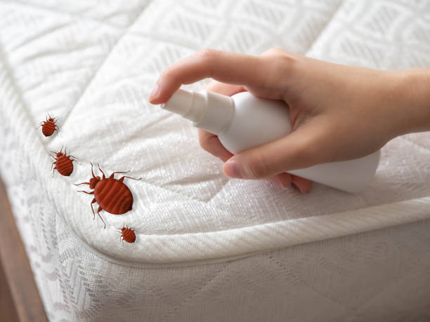 Best Pest Removal Services  in Crandon, WI